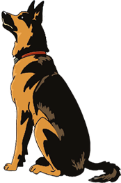 Illustration of a seated German Shepherd